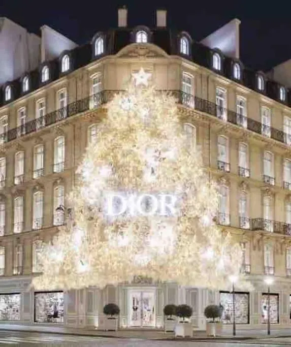 Chanel Avenue Montaigne & Elysees 4 Guests Parijs